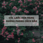 ảnh đăng fb (1200 x 1200 px).png